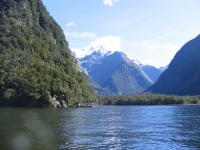 Albums/20060200-New Zealand 2006/20060211-Milford Sound/59